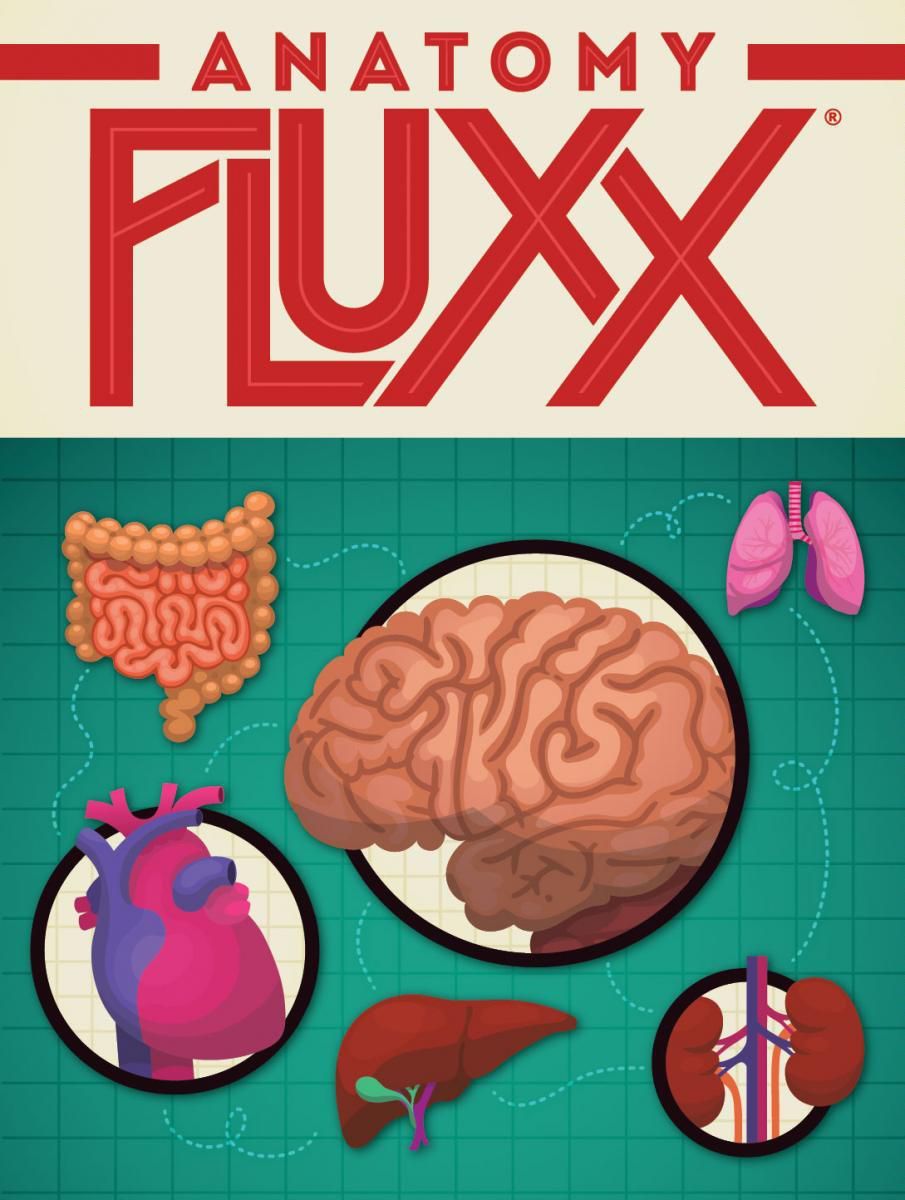 Anatomy Fluxx Image