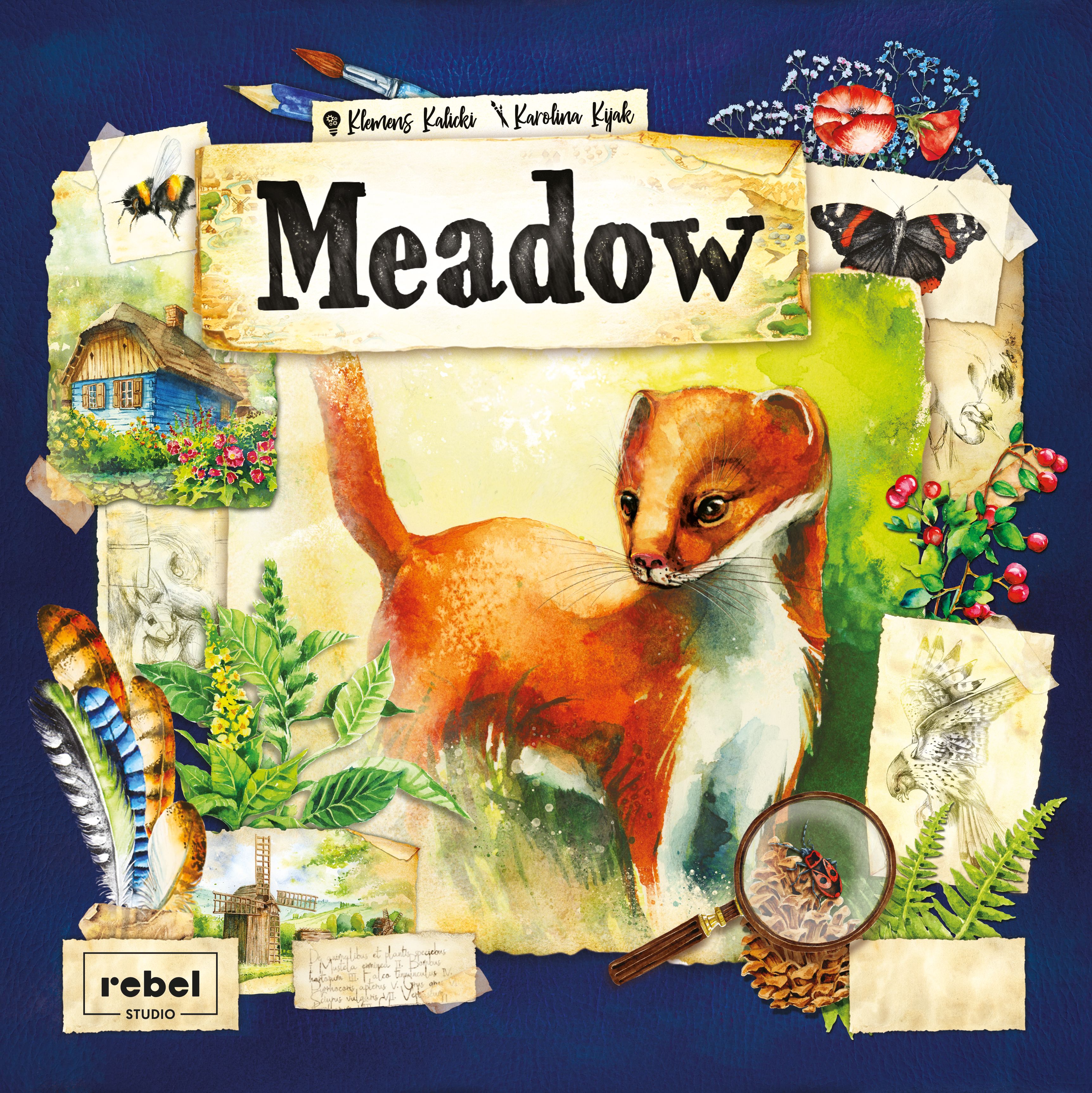 Meadow Image